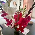 The Travellers' Flat-brussels South Airport