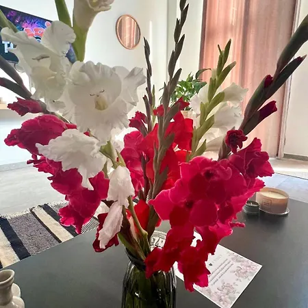 The Travellers' Flat-brussels South Airport