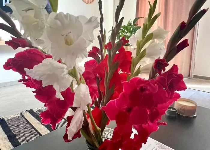 The Travellers' Flat-brussels South Airport