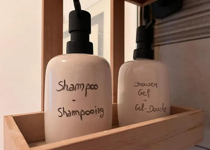 The Travellers' Flat-brussels South Airport * פלורוס